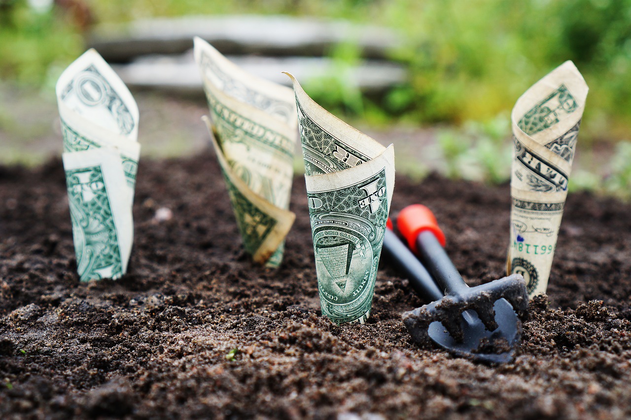 7 stratégies pour rentabiliser l'épargne en 2019